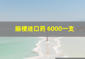 脑梗进口药 6000一支